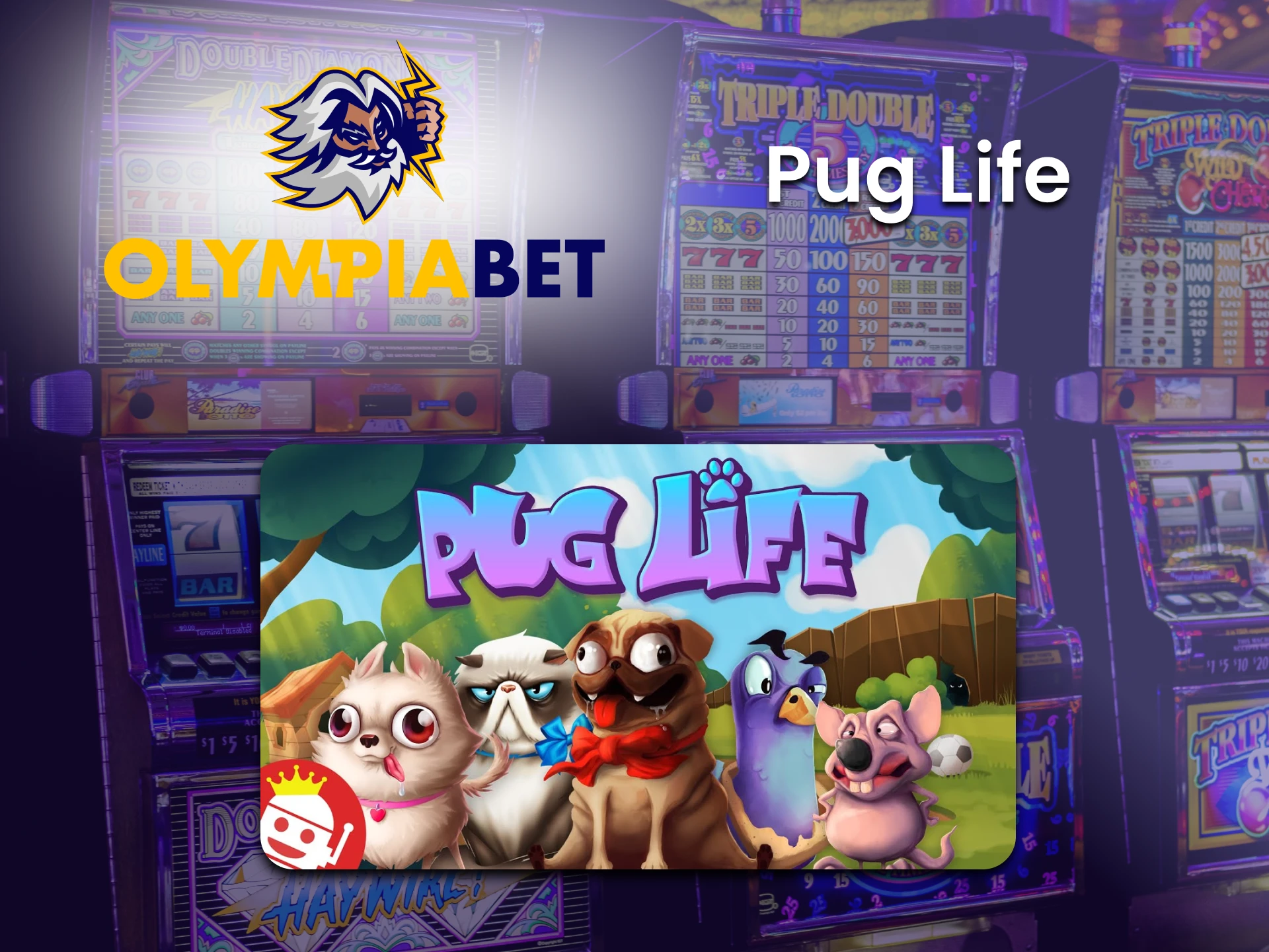 Play Pug life in the casino section of Olimpiabet.